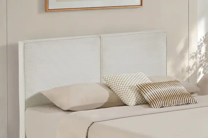 Notus Başlık