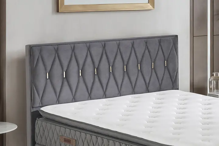 Livia New Başlık