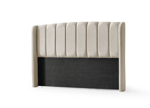 Alegra Master Başlık